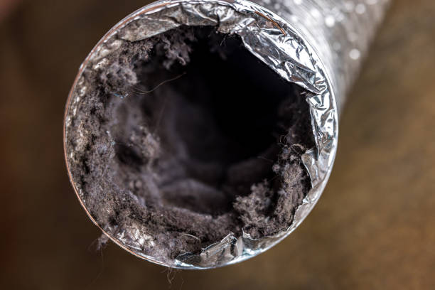 Best Local Air Duct Cleaning Services  in Indian River Estates, FL